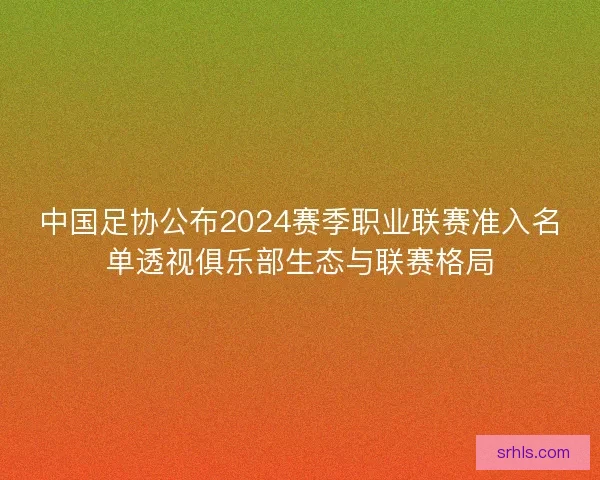 中国足协公布2024赛季职业联赛准入名单透视俱乐部生态与联赛格局